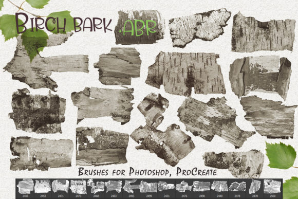 Birch Bark Brushes for Designers